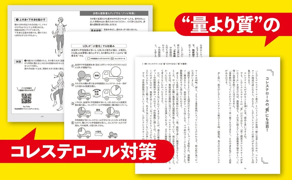 コレステロールの“質”にも注目！