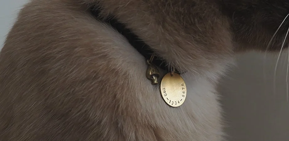 猫の首輪についたネームチャーム