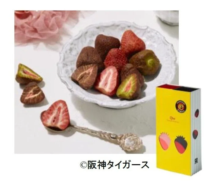 様々な色のチョコレートでコーティングされたフリーズドライのいちごが、白い皿に盛り付けられ、周りにも散りばめられています