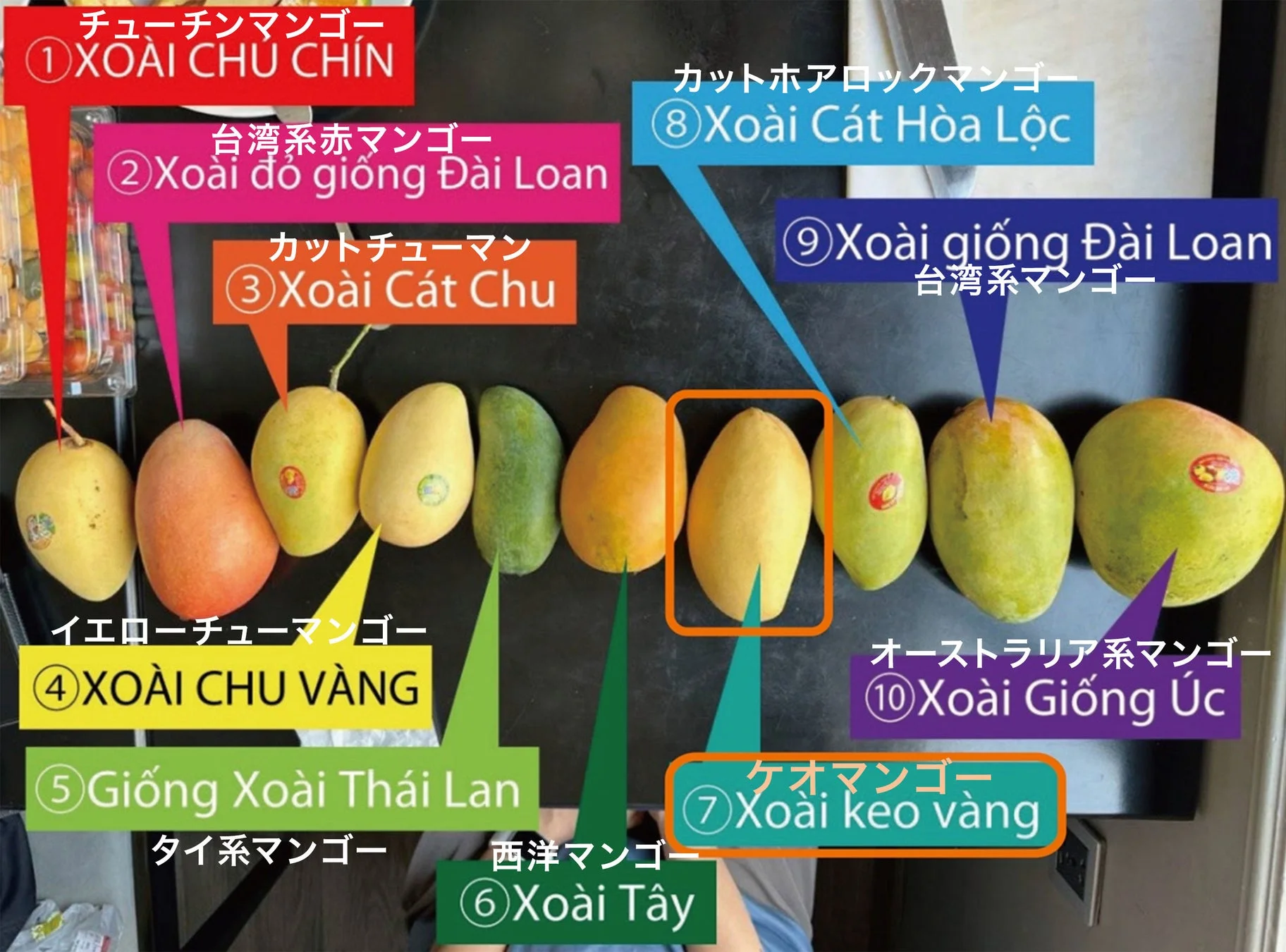 マンゴーの種類比較