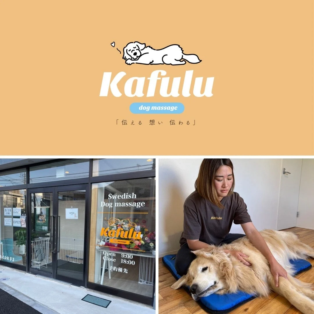 スウェーデン式ドッグマッサージKafuluの犬