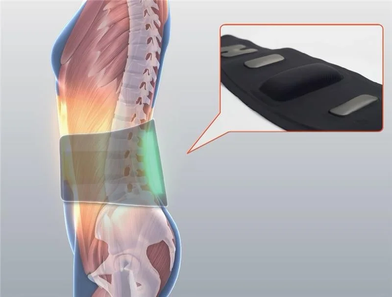 腰部に装着されたサポートベルトと内部構造