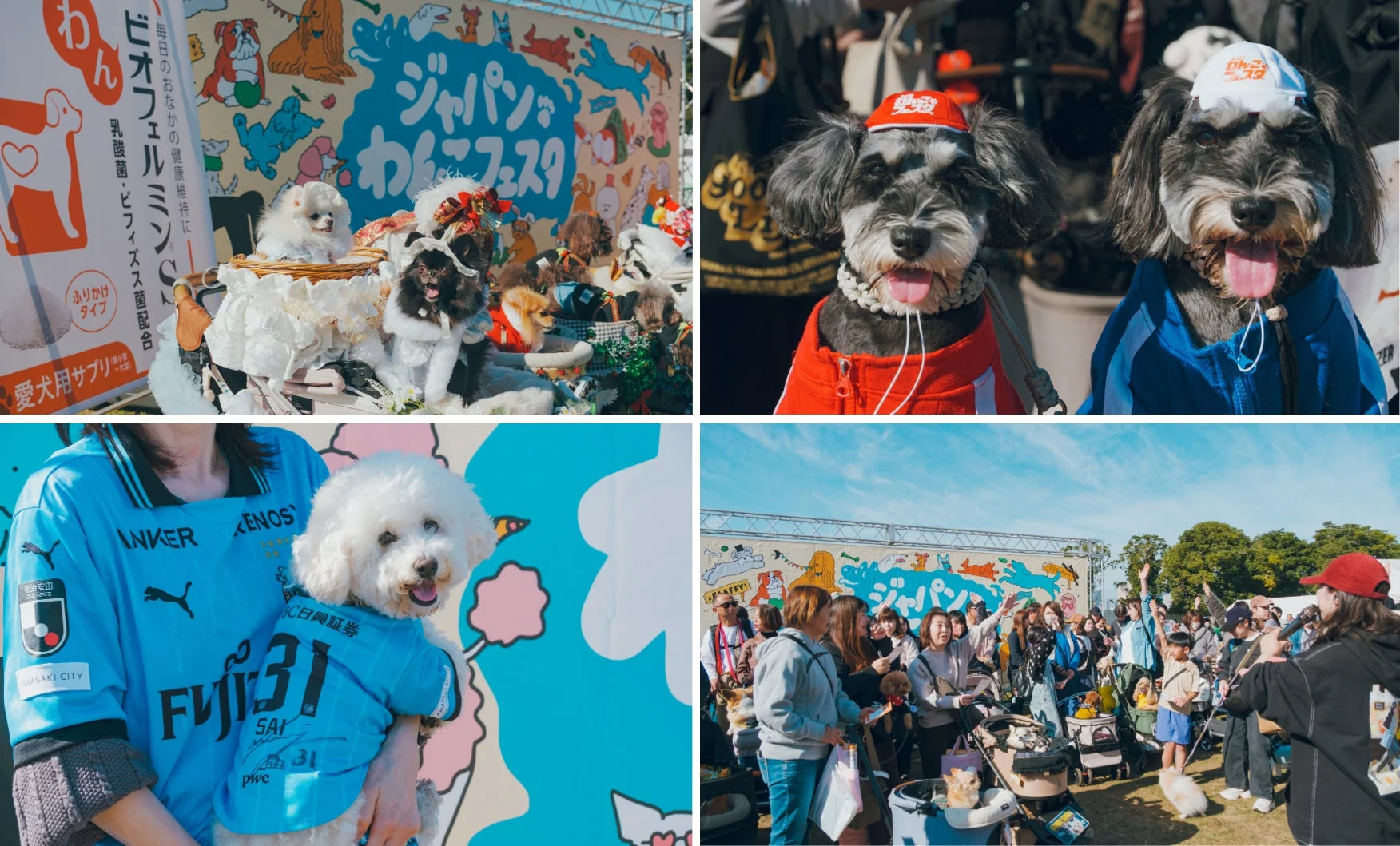 わんわんフェスタ