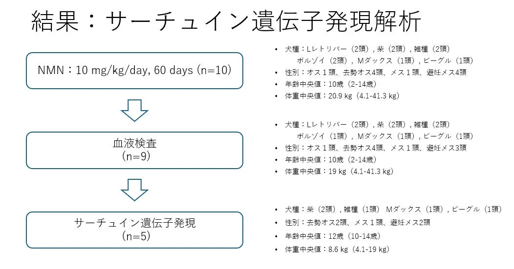 研究結果のフロー図