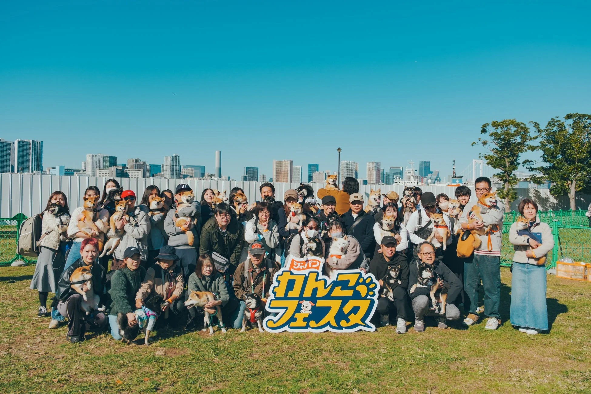 ジャパンカムコフェスタ