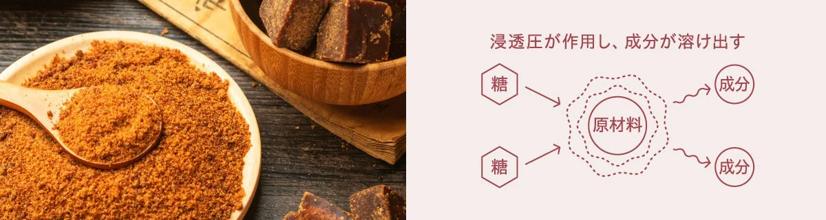 糖と浸透圧の図解