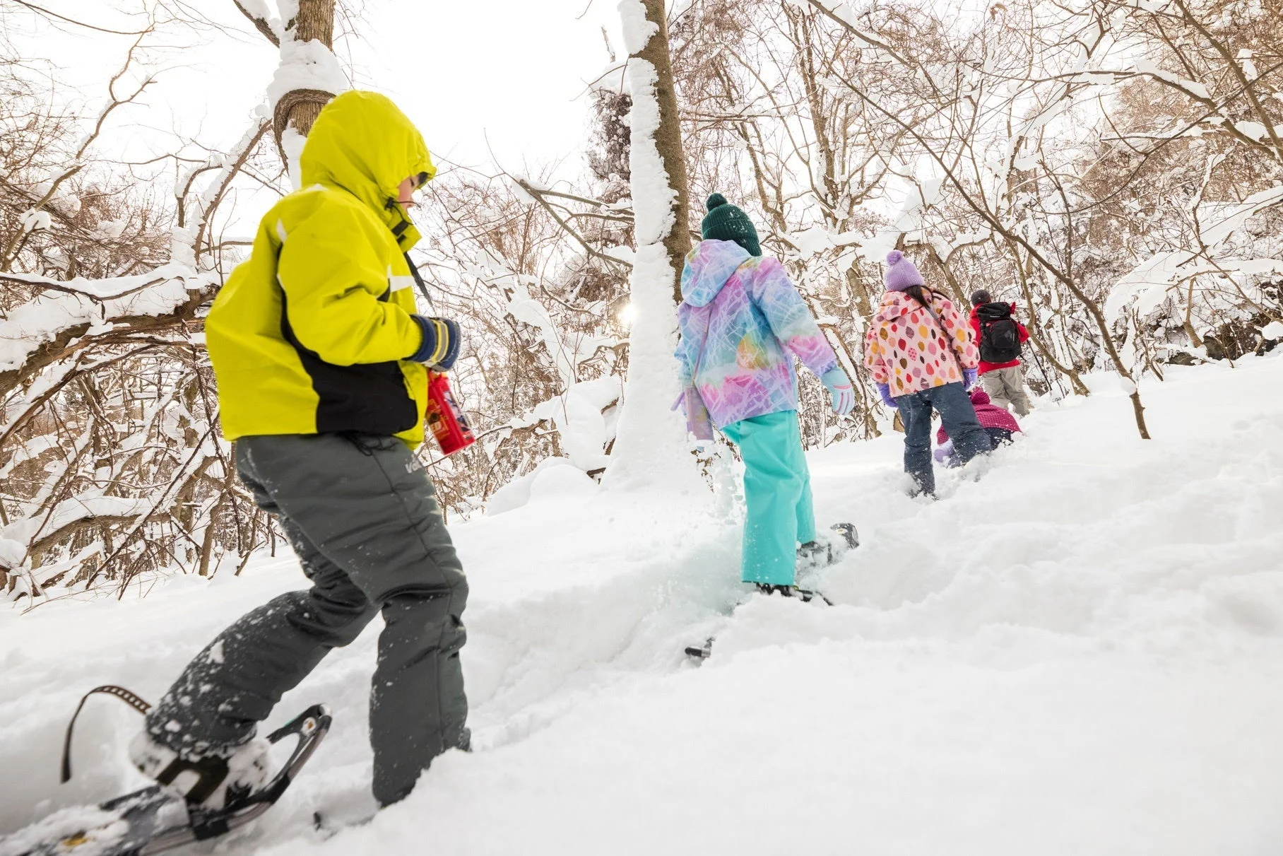 かんじきフットパス