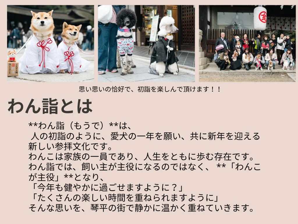 思い思いの恰好で、初詣を楽しんで頂けます!!