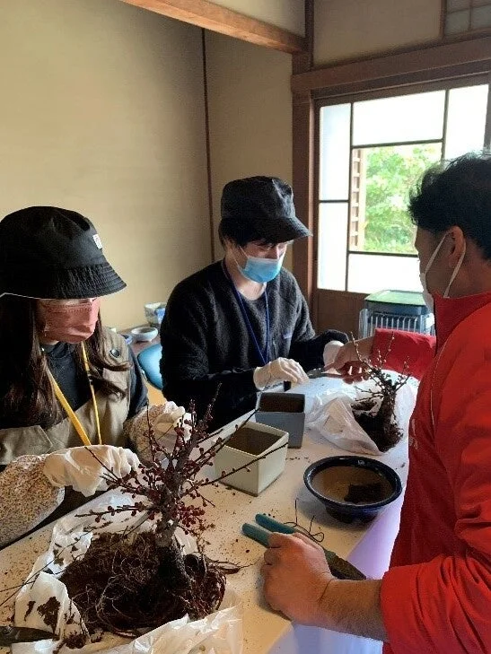 盆栽のワークショップの様子