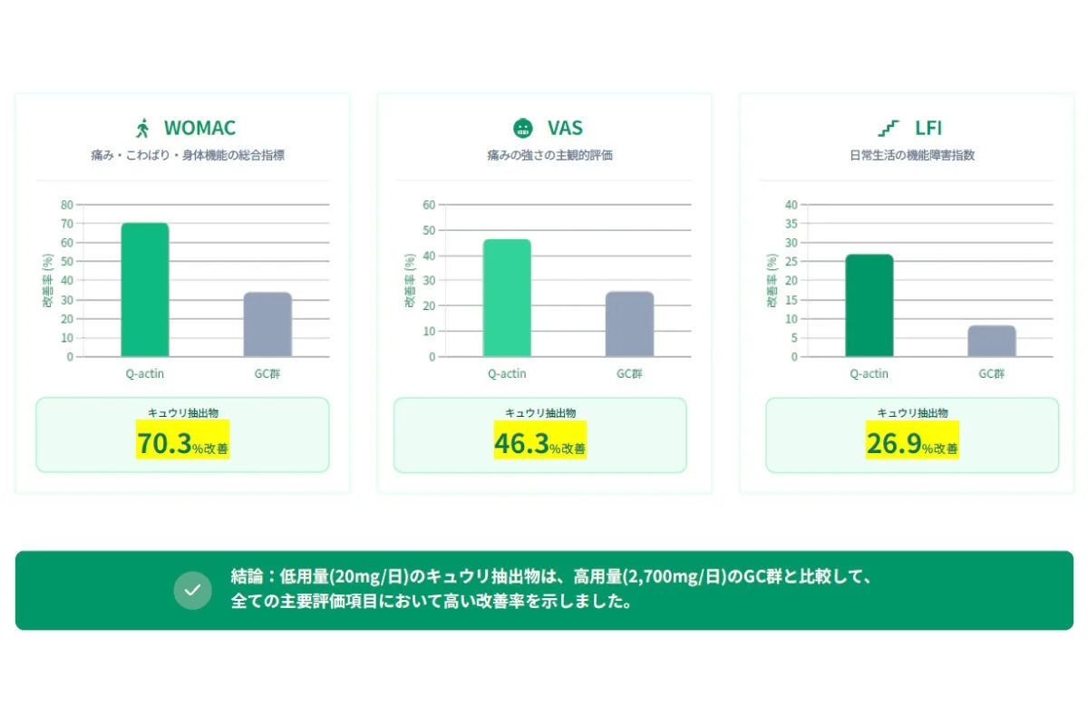 WOMACスコア等の改善率グラフ