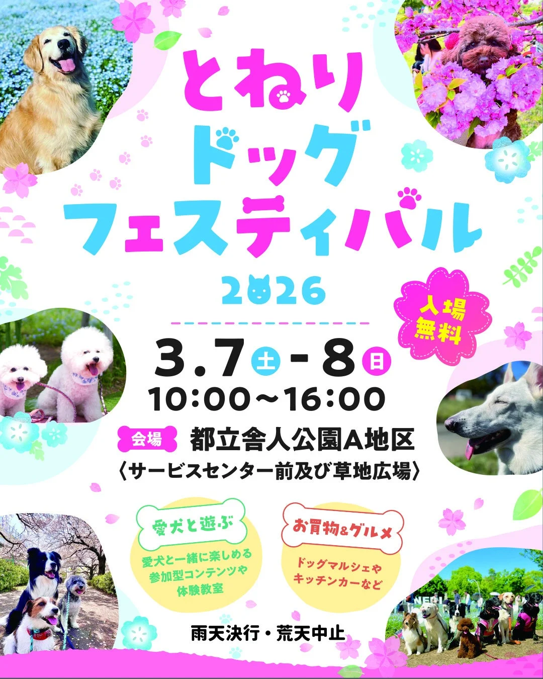 とねりドッグフェスティバル