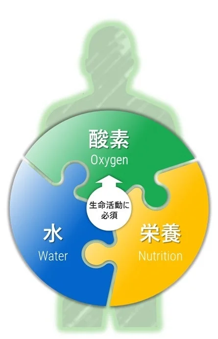 生命活動に必須の要素
