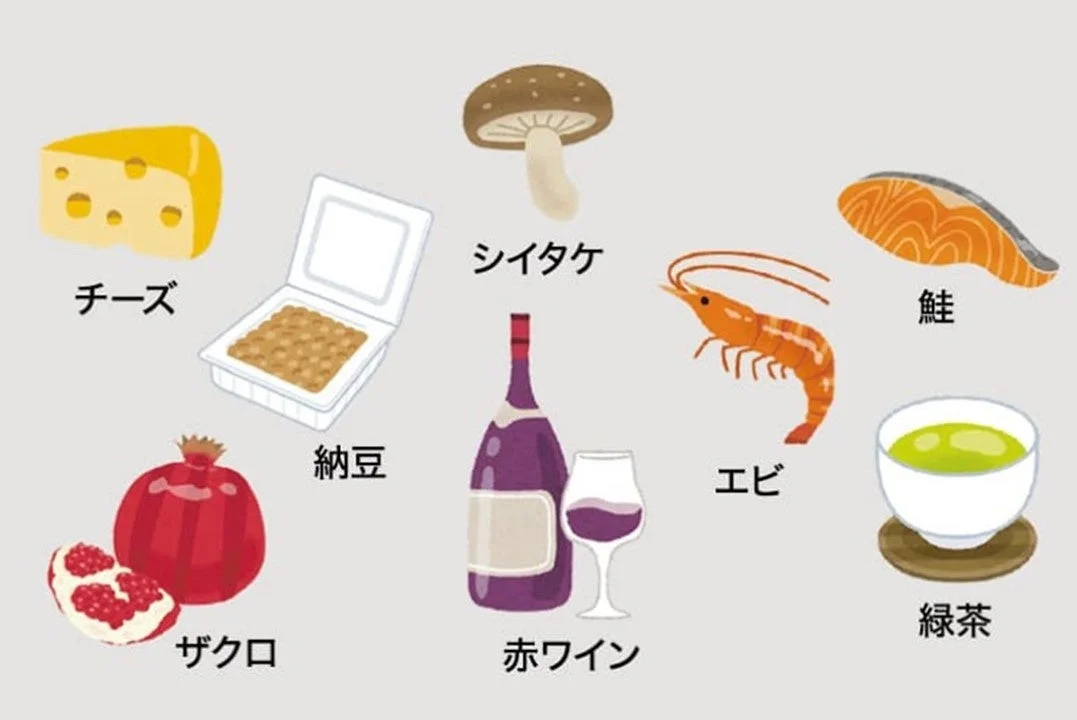 オートファジーに良い食材のイラスト