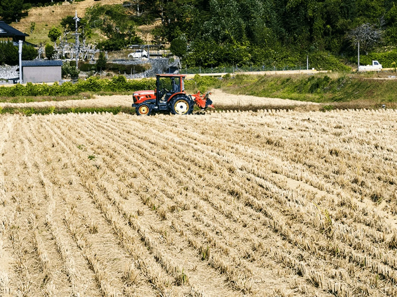 田んぼとトラクター