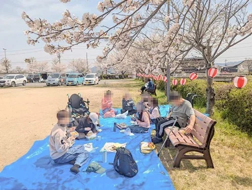桜が満開の公園でピクニックする人々