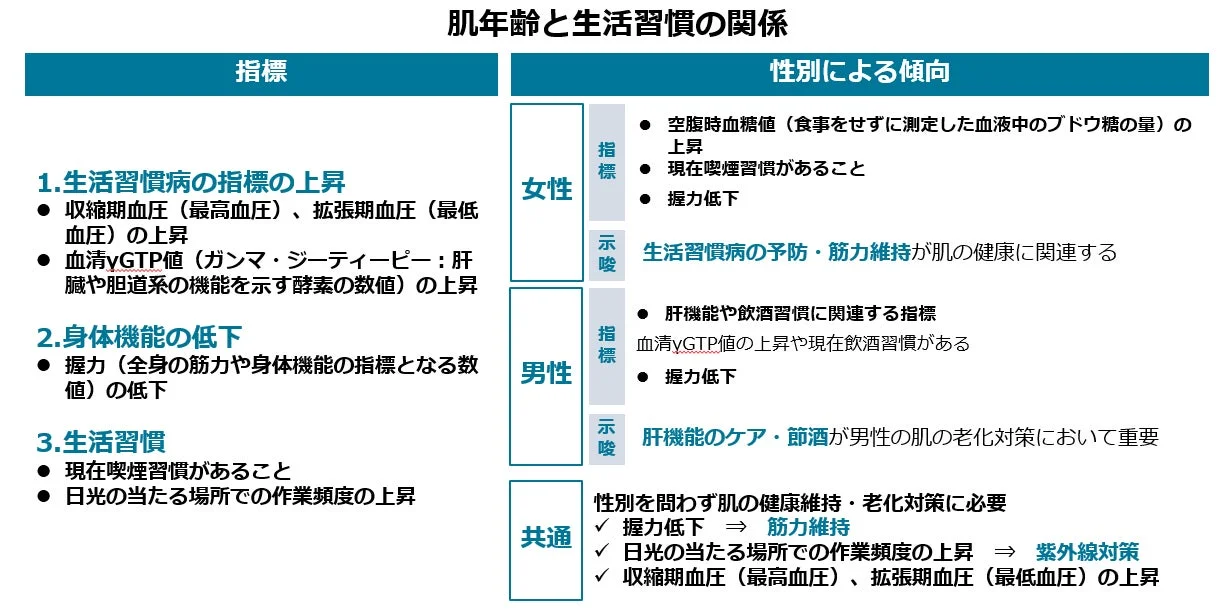 肌年齢と生活習慣の関係について、性別ごとの傾向と共通の対策を示した表