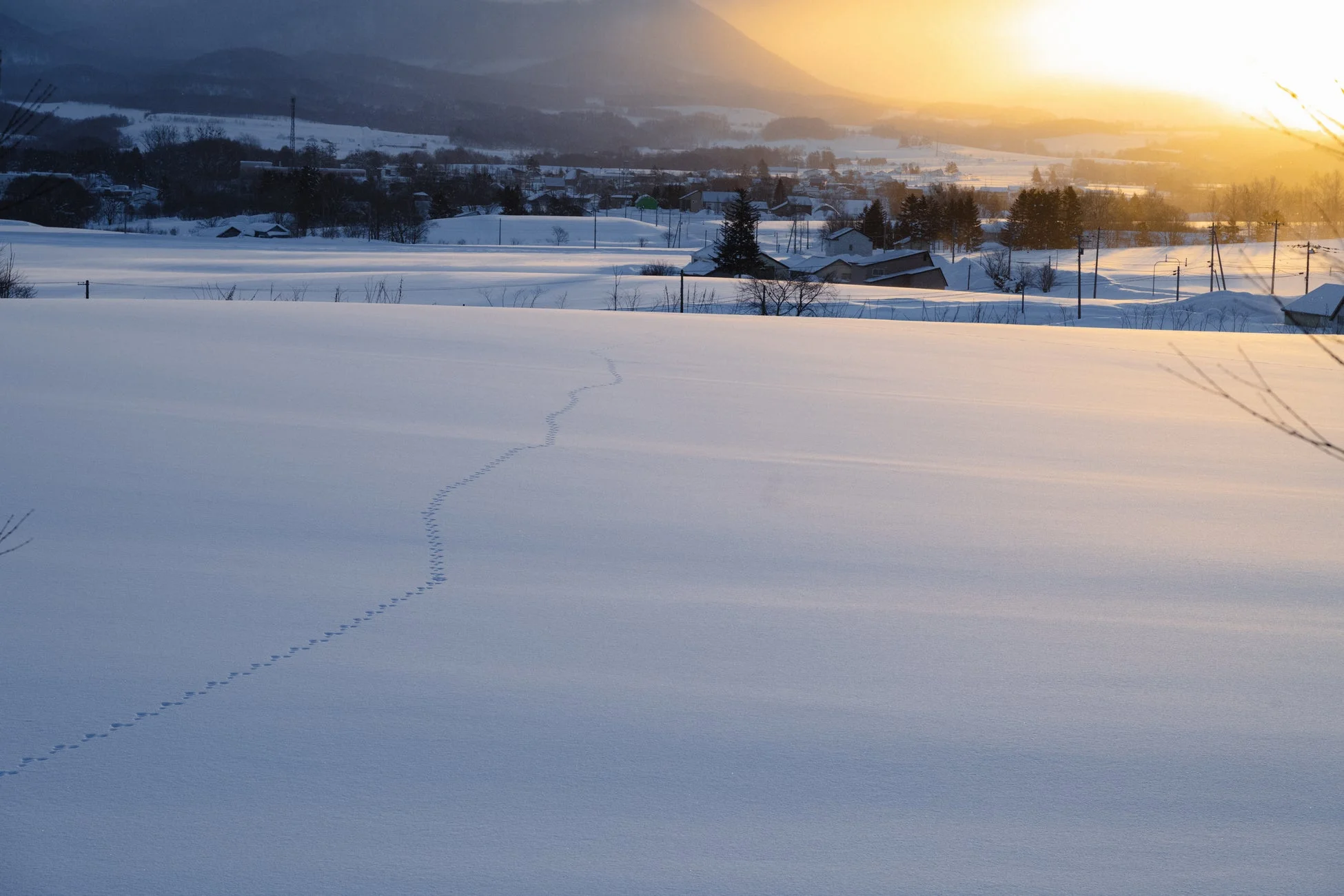 雪原と足跡