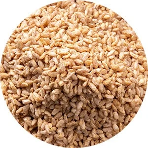 玄米麹由来の発酵酵素