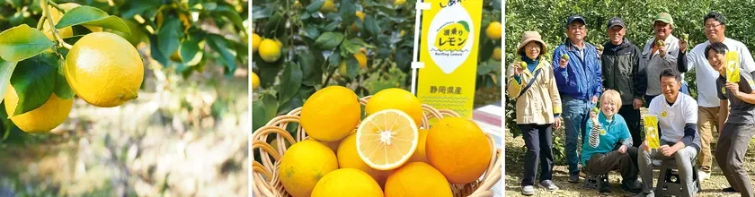 波乗りレモンと波乗りレモン部会のメンバーの方々