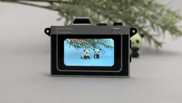 小型のデジタルカメラの背面が写っており、その画面には緑の葉を背景にした2体の可愛いパンダの置物が映し出されています。画面には日付と時刻、1080Pの表示も見えます。