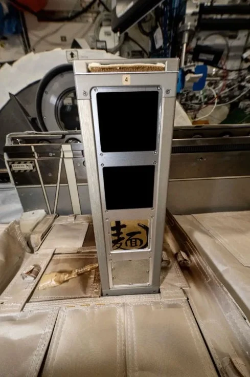 宇宙船内部の「麦面」