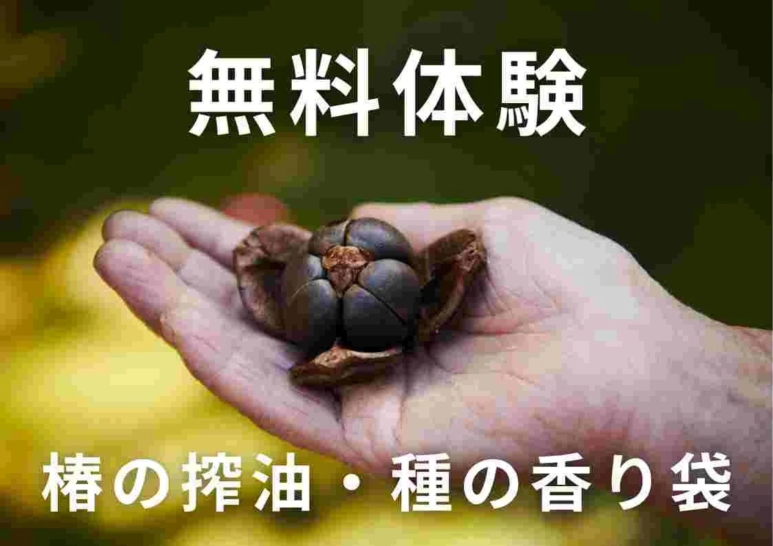 椿の搾油・種の香り袋の無料体験の画像
