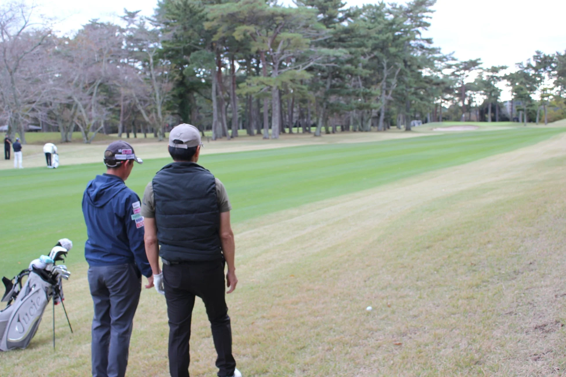 ゴルフコースで二人の男性ゴルファーが前方のコースを見つめています