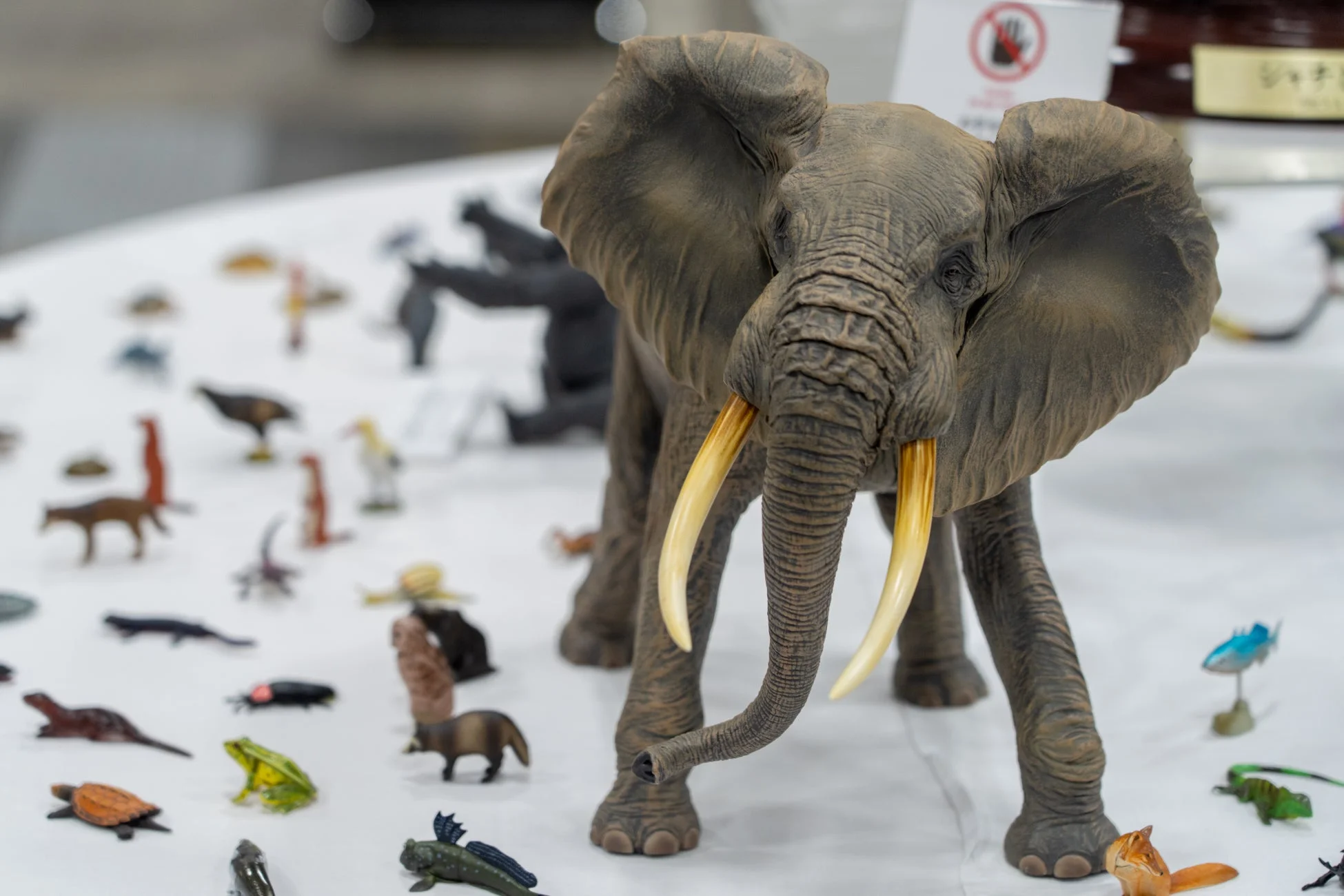 多数の動物フィギュアが展示されている様子