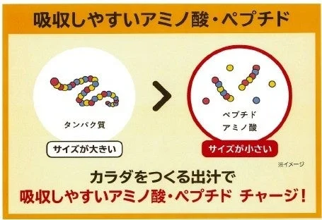 タンパク質、ペプチド、アミノ酸のサイズイメージ