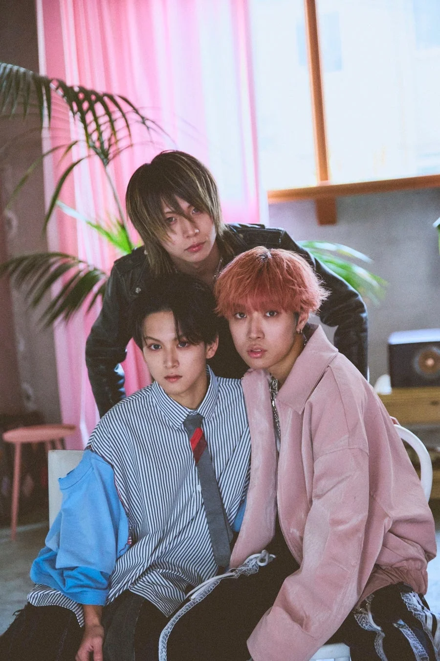 Comme des familia メンバー