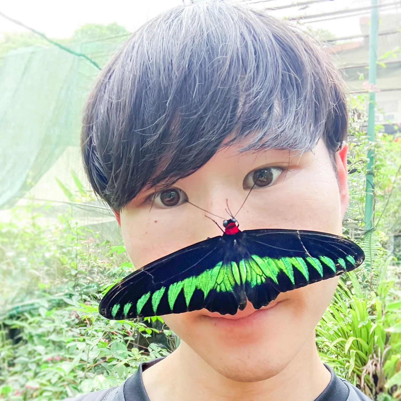 鼻に蝶が止まっている人物