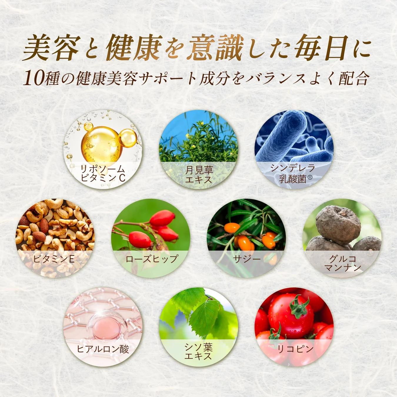 ハニリポC配合成分