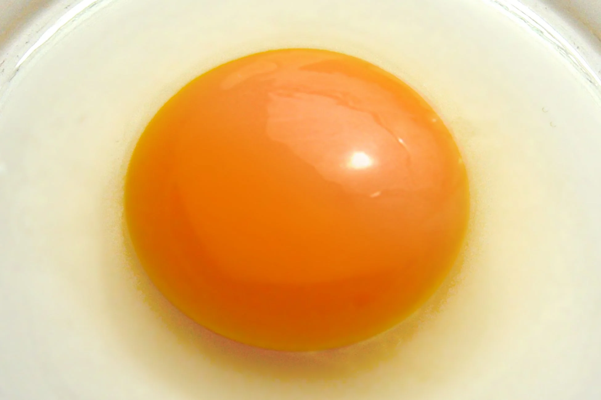 生卵のクローズアップ