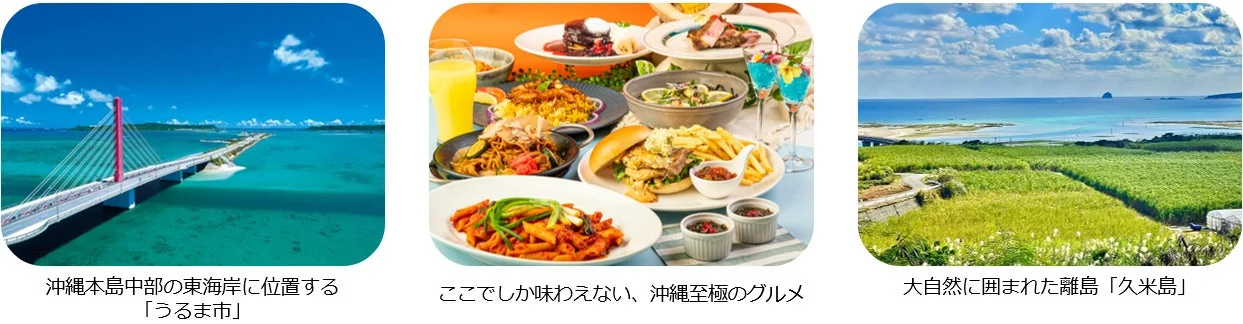 沖縄フェアの食材