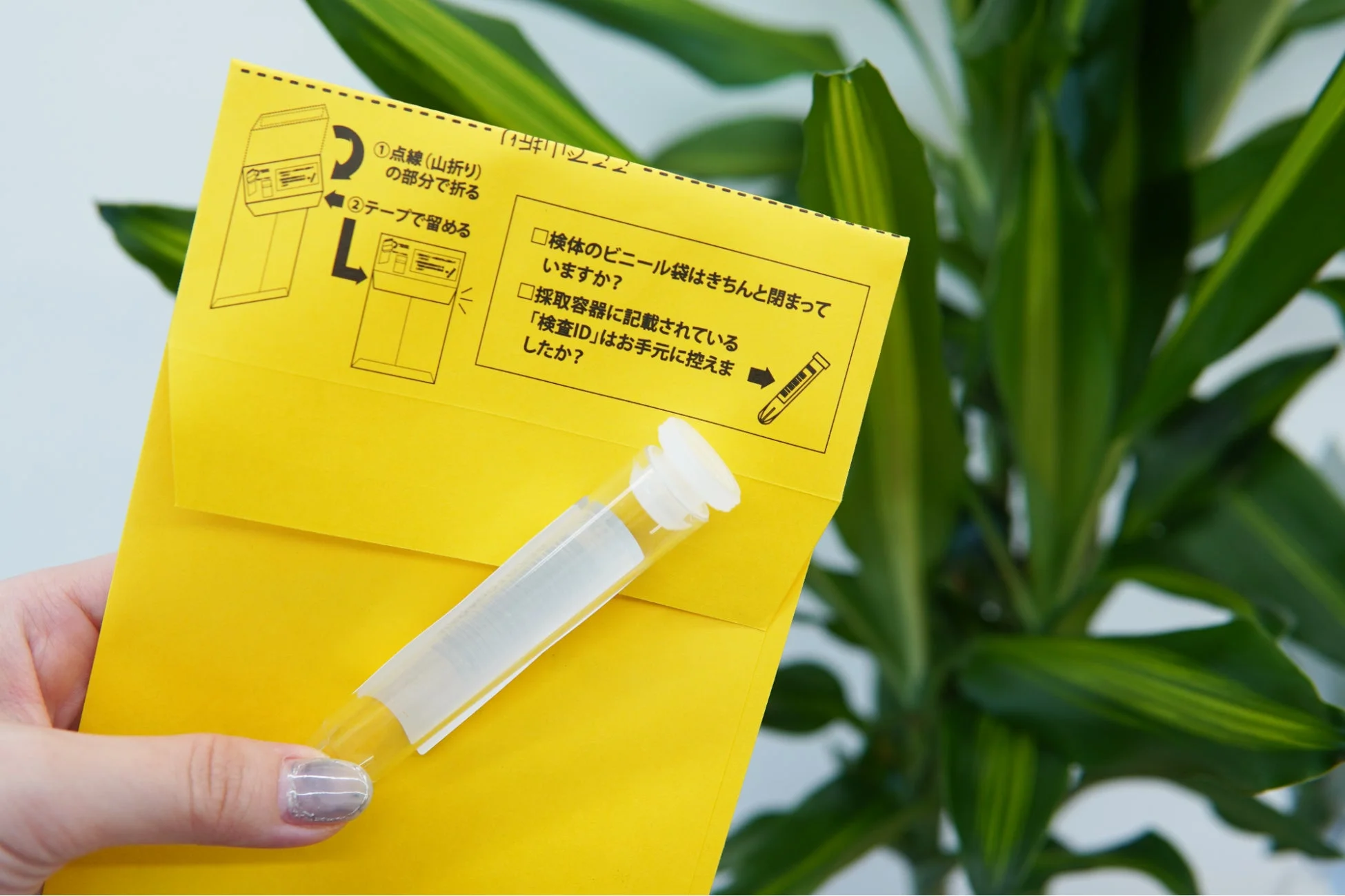 検査キットの封筒と検体容器