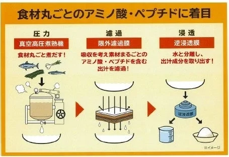 食材からアミノ酸・ペプチドを抽出する製法