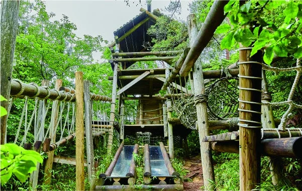 フィールドアスレチック