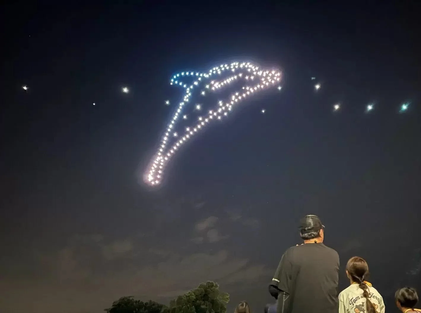 夜空に光のイルカが描かれたドローンショー