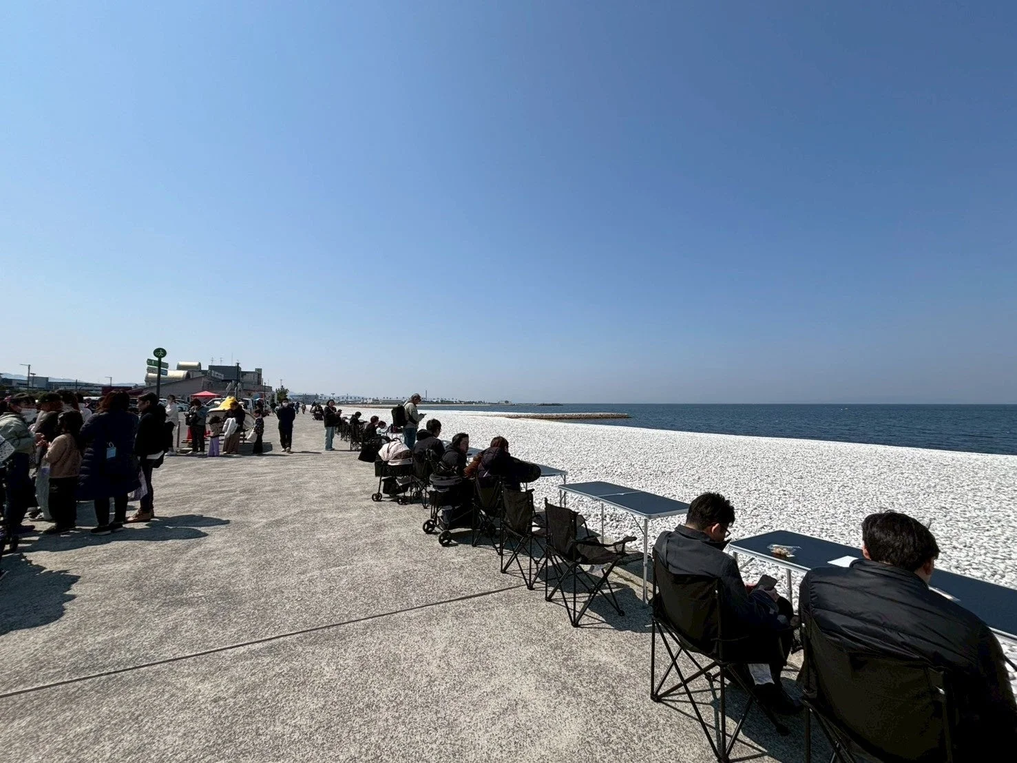 ビーチで人々がくつろぐ様子