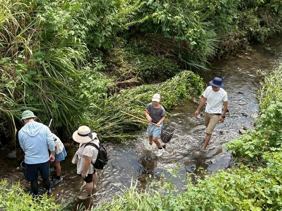水辺の生きもの観察会のイメージ