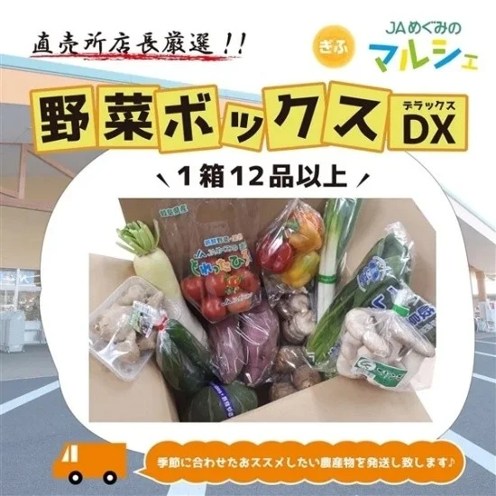 直売所店長厳選!! 野菜ボックスDX