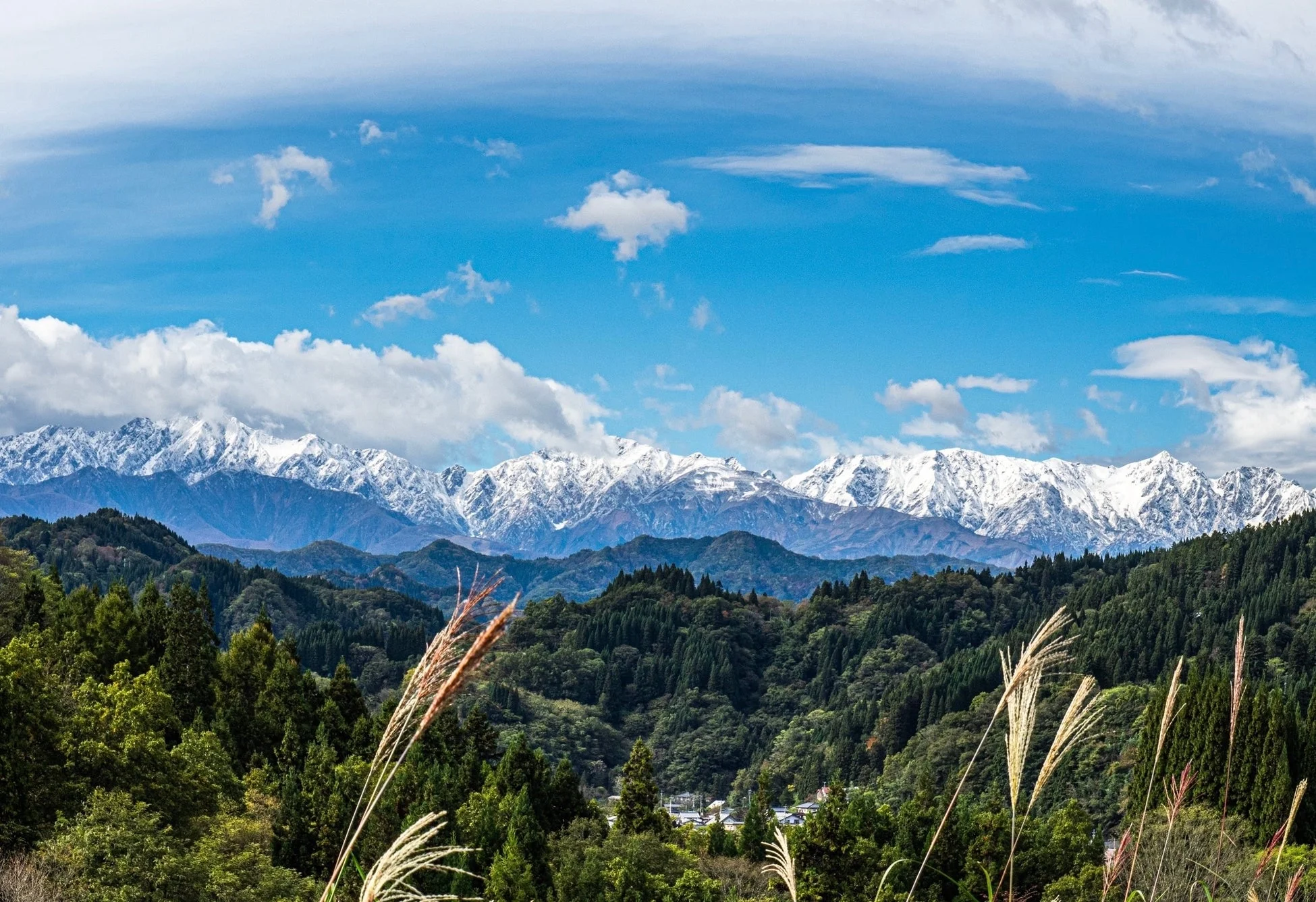 道の駅中条からの景色