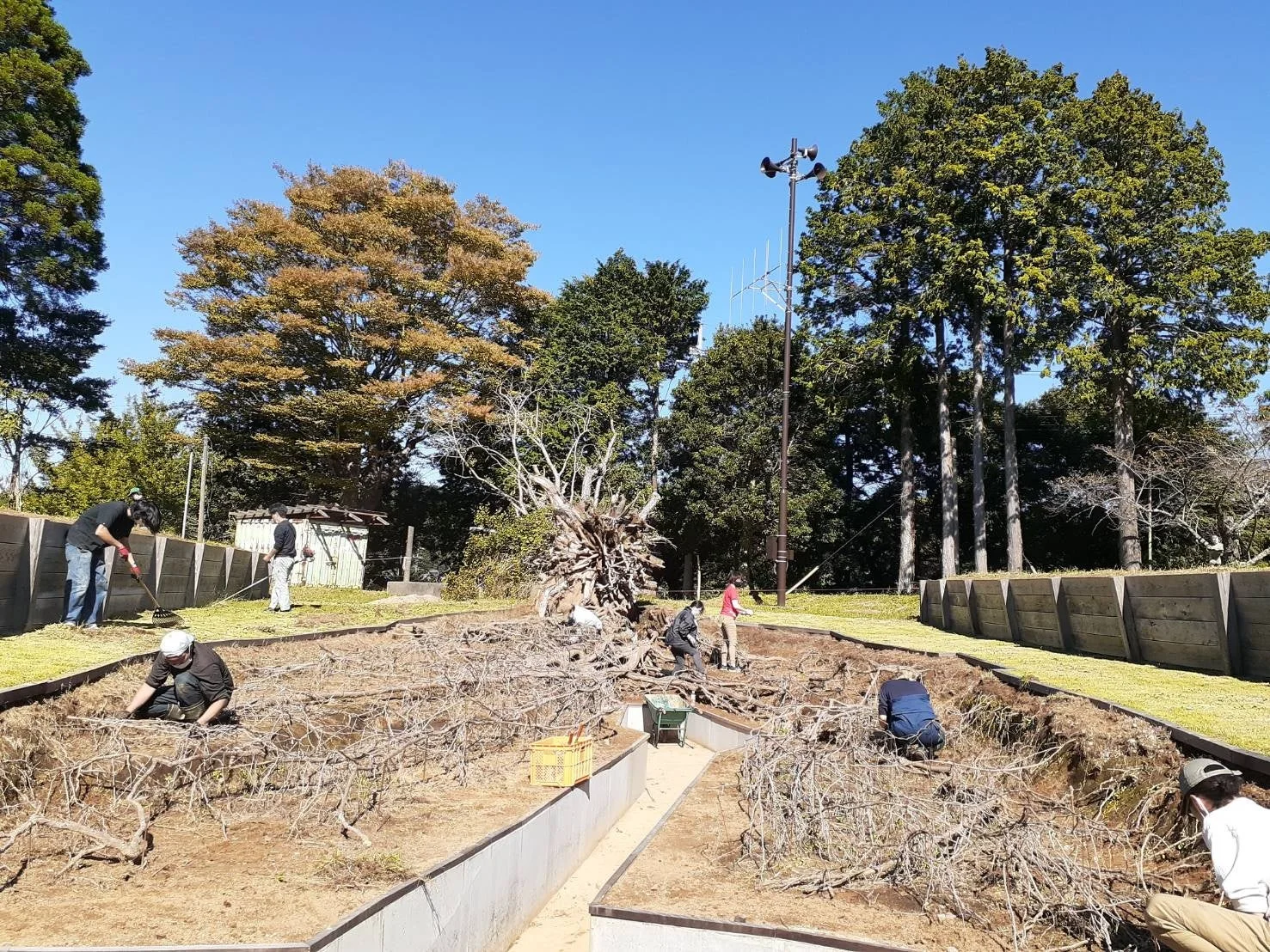 屋外で庭園の整備作業をしている様子
