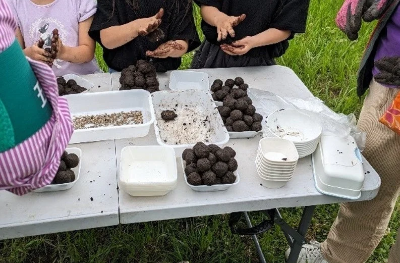 たねダンゴ作り