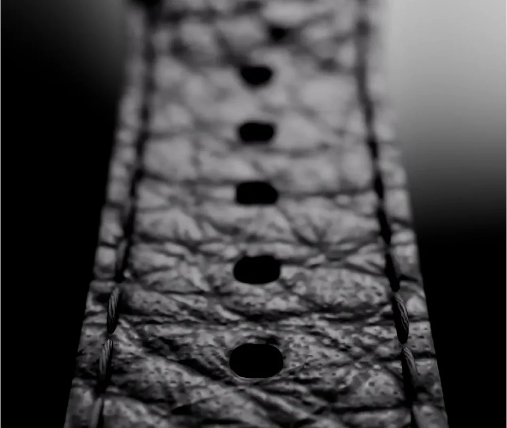 wena X 10周年記念モデル バンド