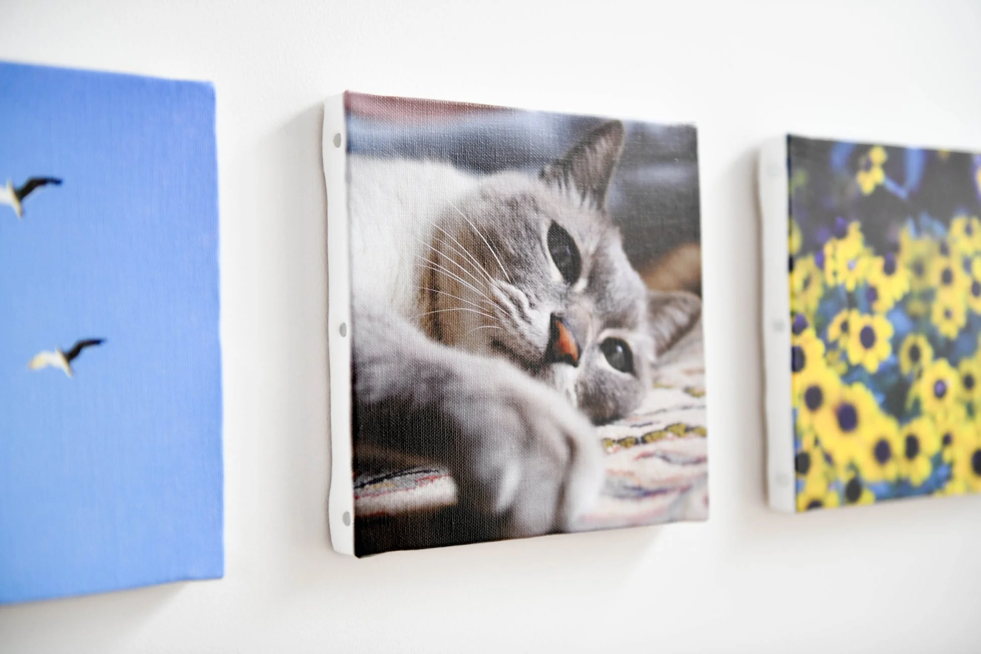 WALL DECORのイメージ