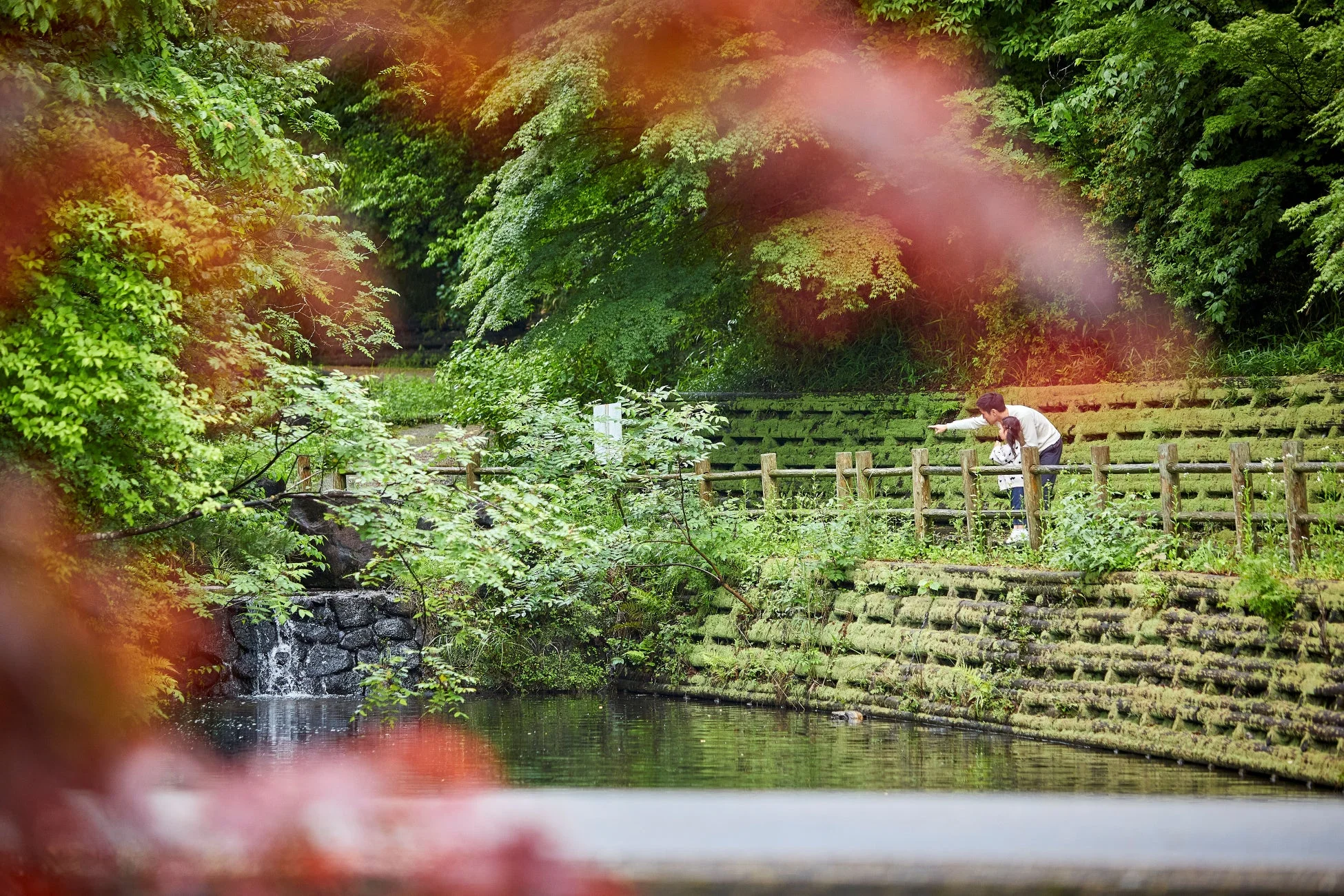 水辺の風景