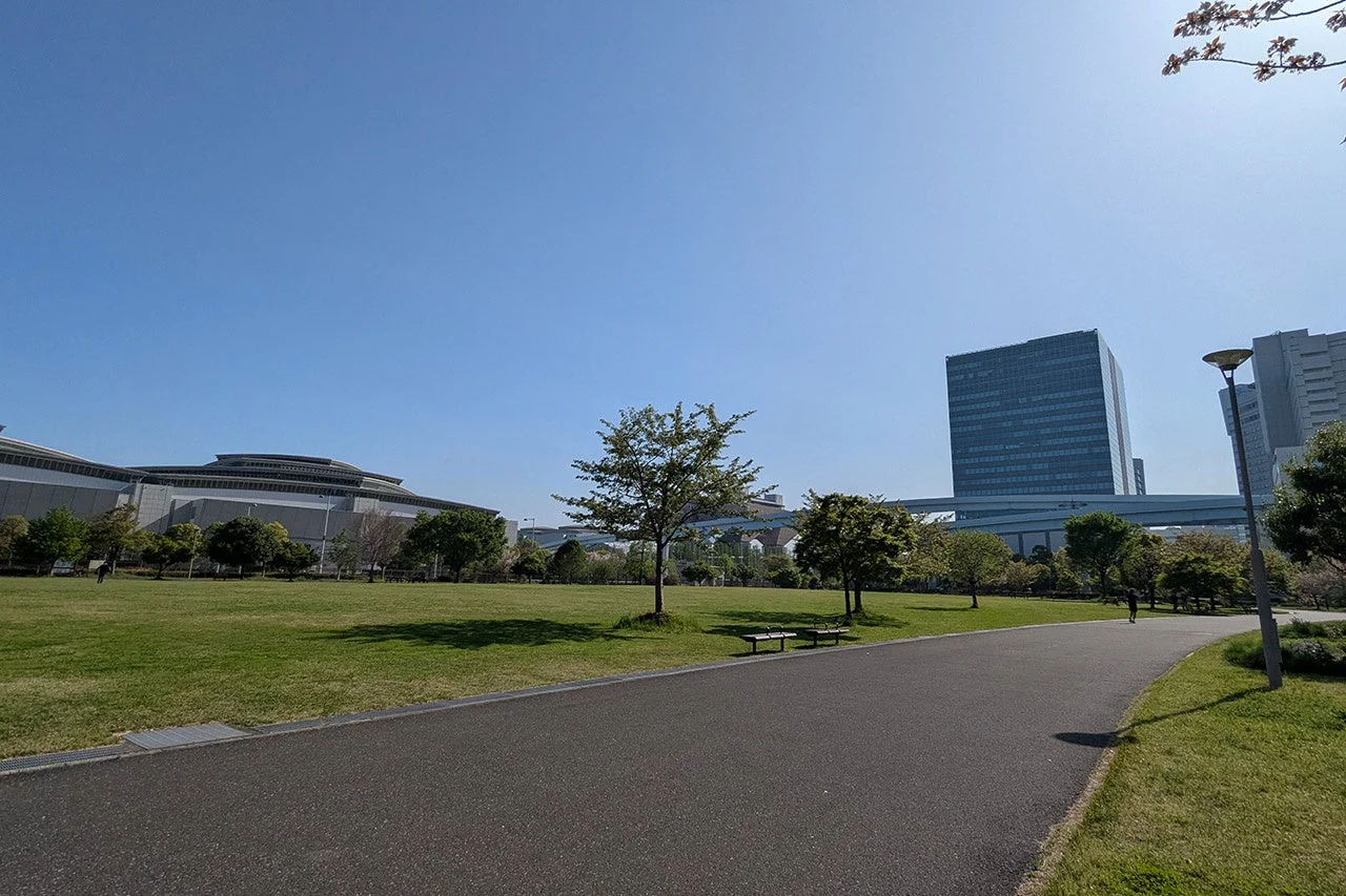 広々とした芝生が広がる都市公園