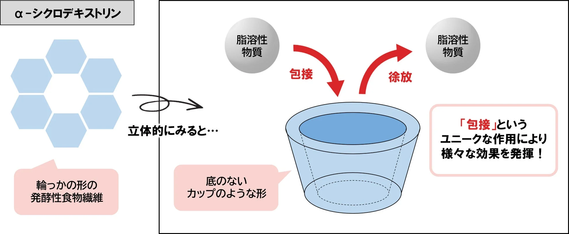 α-シクロデキストリンの構造と作用