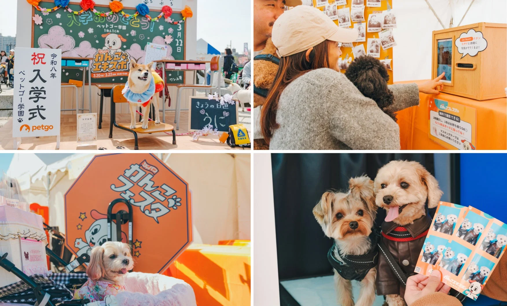ペットゴー学園主催の犬向けイベント「入学式」と「フェスタ」の様子。制服姿の犬や、飼い主と愛犬がフォトブースで記念撮影を楽しむ姿が見られ、多くの犬と人々が集まる賑やかな雰囲気が伝わります。
